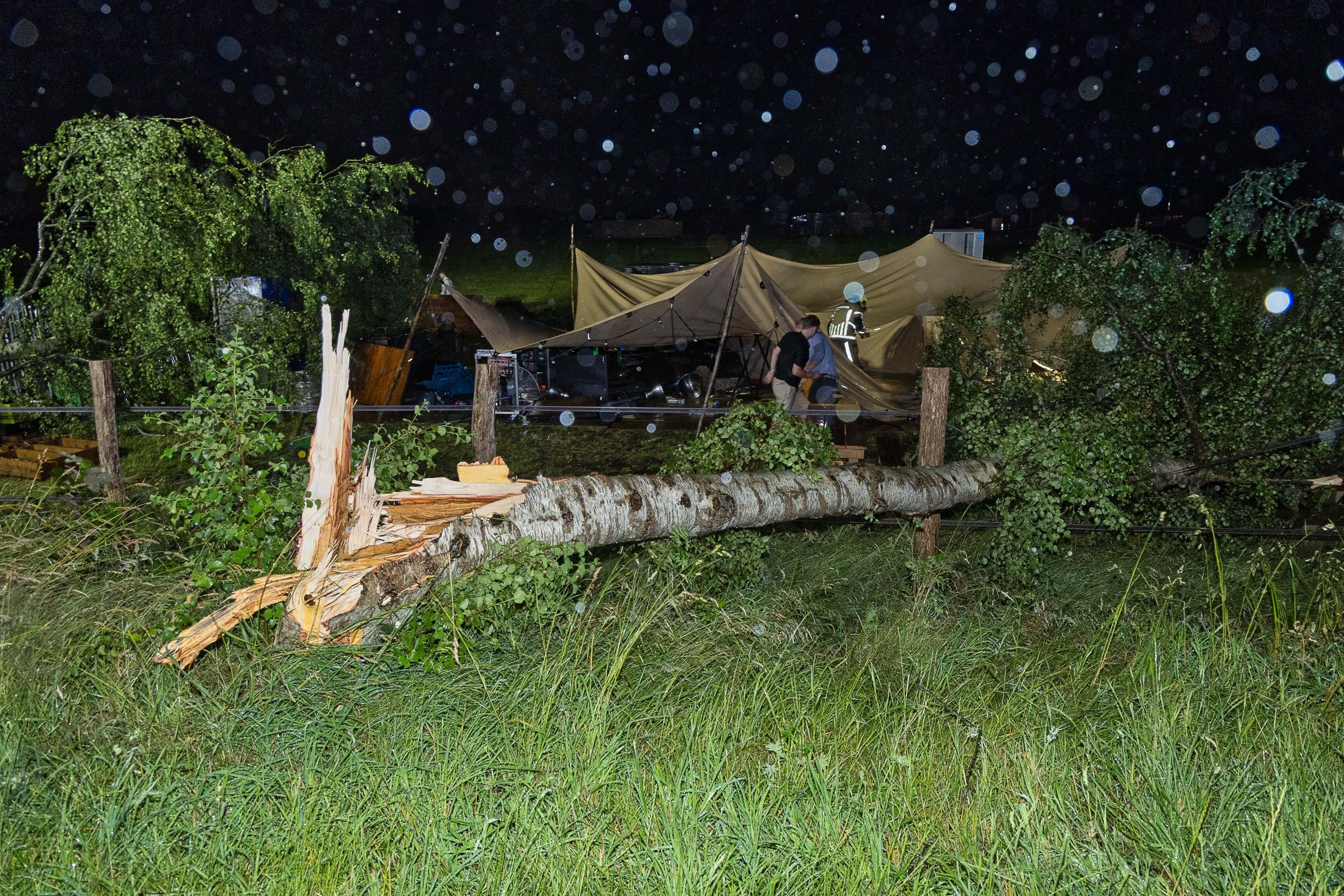 Een van de omgewaaide bomen.