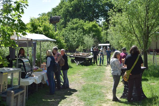 Snuffelen op de markt tijdens de Wijlanderdag van vorig jaar.