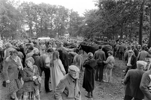 Beelden van de Dwingelermarkt in de vorige eeuw.