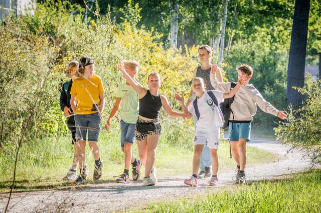 Heerlijk wandelen tussen het groen in en rond Havelte.