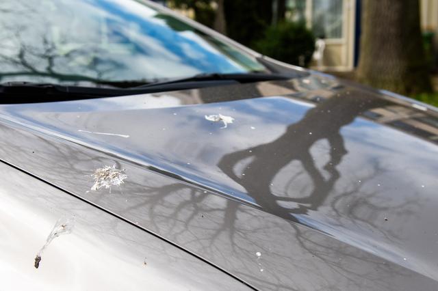 Auto's moeten geregeld door de wasstraat. De poep van de roeken tast op den duur de lak aan.