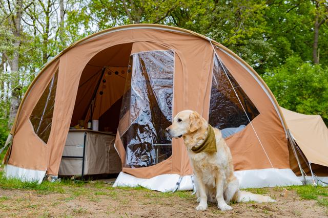 Campinggasten klaagden over problemen met de luchtwegen en geïrriteerde ogen.