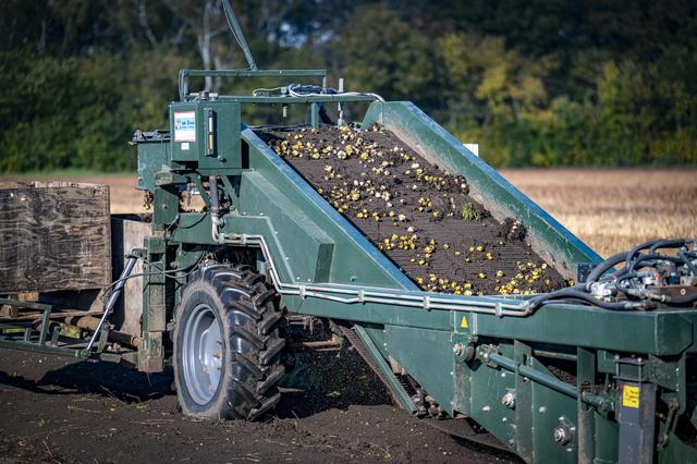 De lelietelers in Drenthe moeten toch bekend maken op welke percelen ze leliebollen telen.