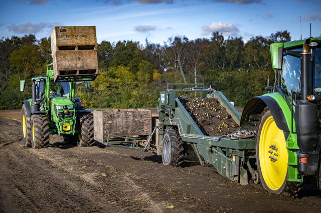 Een lelieteler bezig met het rooien van de leliebollen, eind vorig jaar in Bunne.