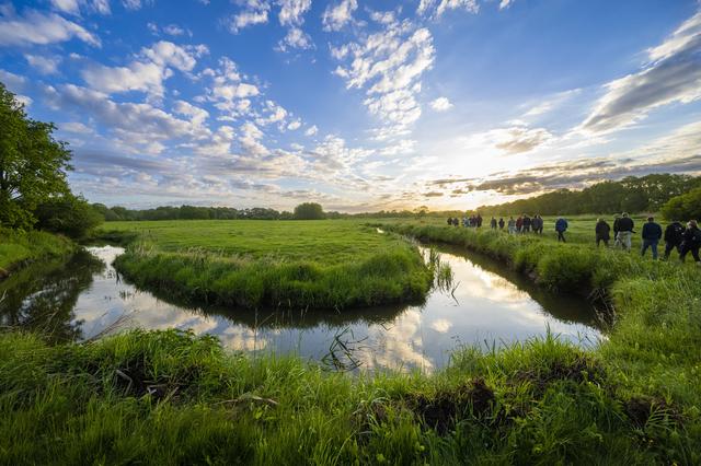 Toeristen wandelen door het beekdal van de Drentsche Aa. De provincie Drenthe investeert in 2026 fors in natuur.