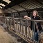 Eline Vedder in de lege stal. De koeien zijn weg. ,,We dreigden in de rode cijfers terecht te komen."