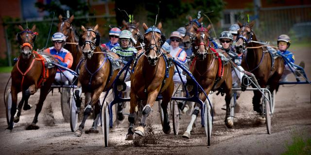 De Sweepstakes in 2009 op de drafbaan in Groningen.