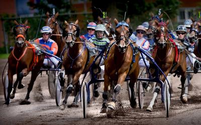 De Sweepstakes in 2009 op de drafbaan in Groningen.