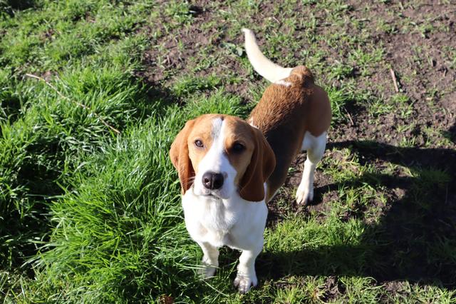 Alanis is in januari vanuit een laboratorium naar Friesland verhuisd.
