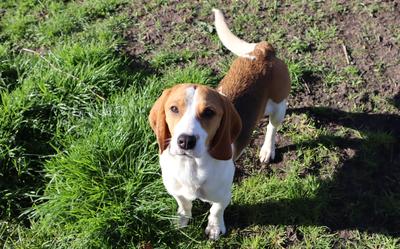 Alanis is in januari vanuit een laboratorium naar Friesland verhuisd.