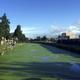 Bij warm weer kleurt het Hoornsediep groen. Foto: DvhN