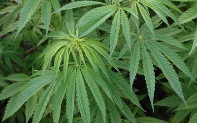 Foto: Archief DVHN/LC