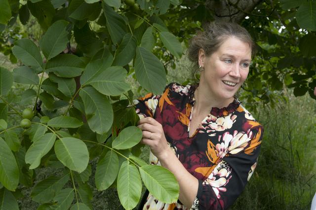 Onder de walnotenbomen is het in de zomer goed toeven.