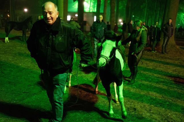 Op de grootste paardenmarkt van Europa gaan honderden paarden van hand tot hand.
