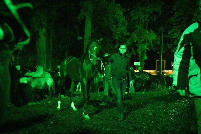 De 824e Zuidlaardermarkt is begonnen.