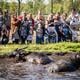 Waterbuffels stormen direct door naar de vijver, de grote modderpoel.