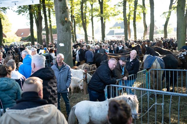 Paardenhandel op de Zuidlaardermarkt.