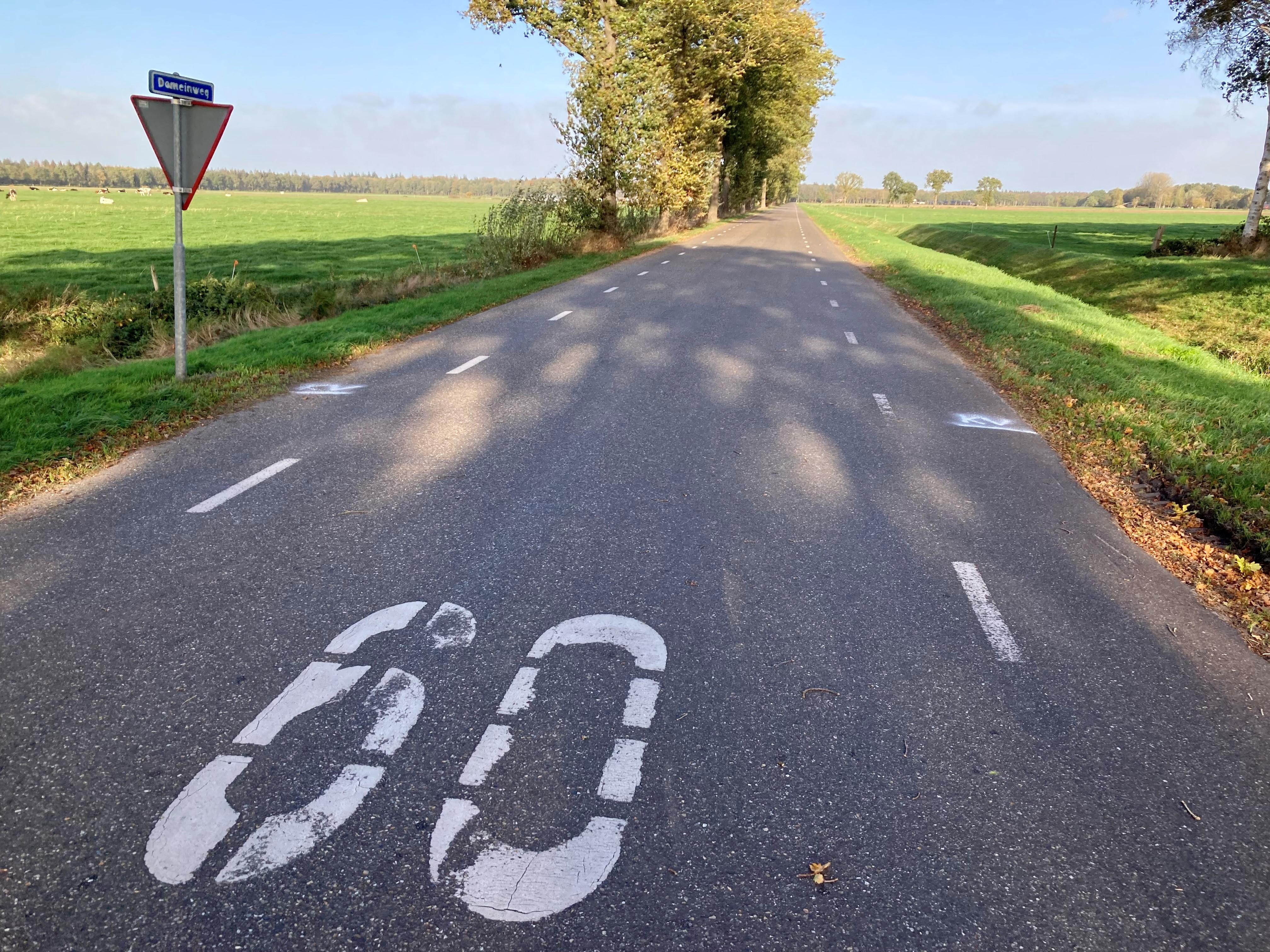De Domeinweg in Fluitenberg is een 60-kilometerweg, maar volgens de bewoners houdt bijna niemand zich daar aan.