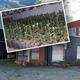 Deze oude koekfabriek in Kiel-Windeweer werd omgebouwd tot wietkwekerij