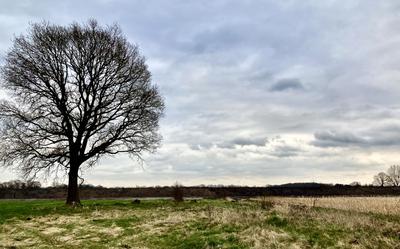 Op de achtergrond zijn al voorbereidende werkzaamheden gaande voor de ontwikkeling van bedrijventerrein Riegmeer
