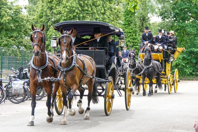 Veertien fraaie rijtuigen reden mee in de koetsentocht van Nienoord500. 