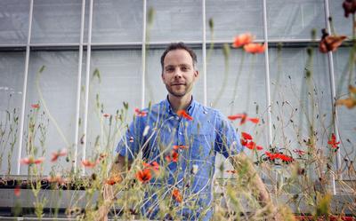 Evolutiebioloog Casper van der Kooi van de RUG in de kassen op Zernike.