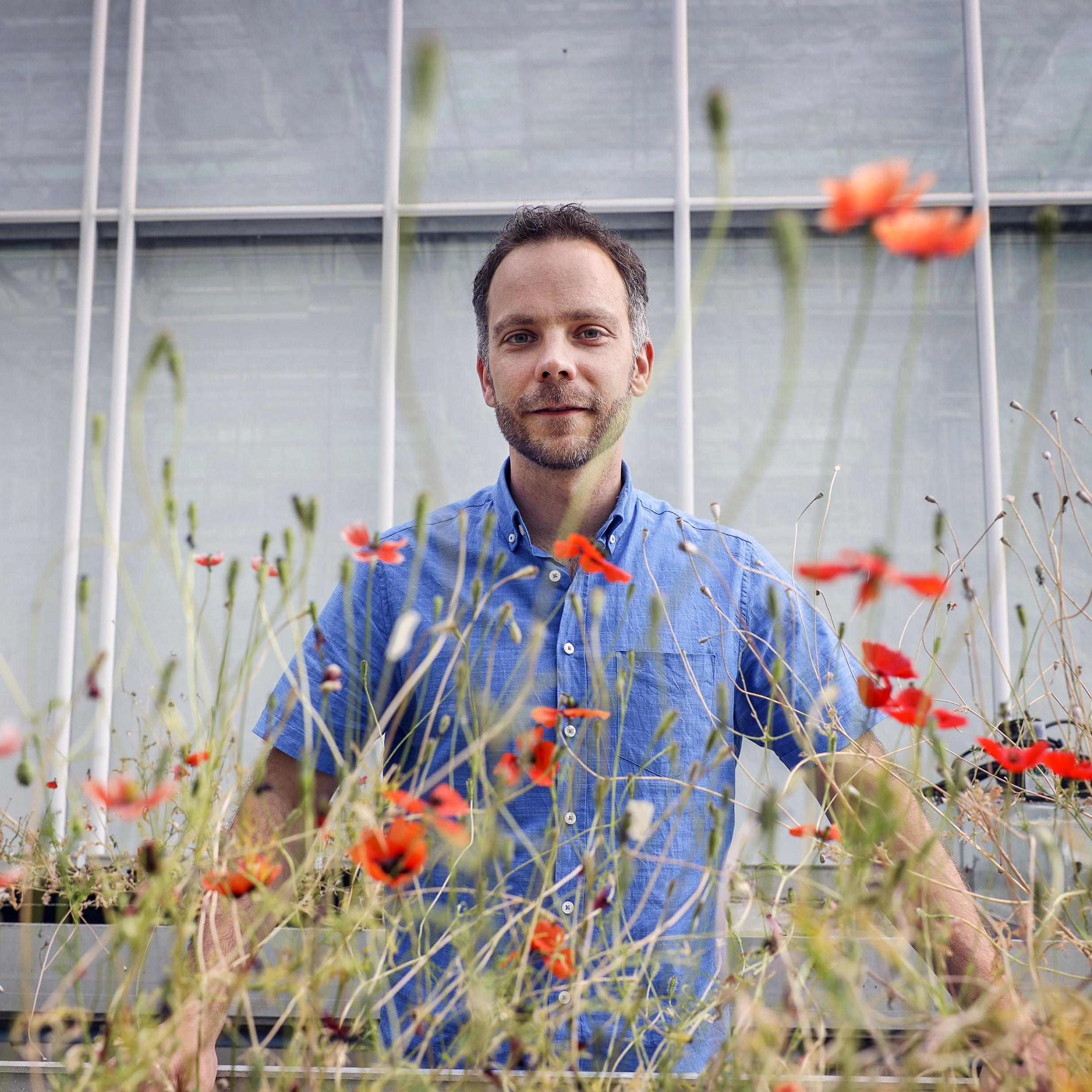 Evolutiebioloog Casper van der Kooi van de RUG in de kassen op Zernike.