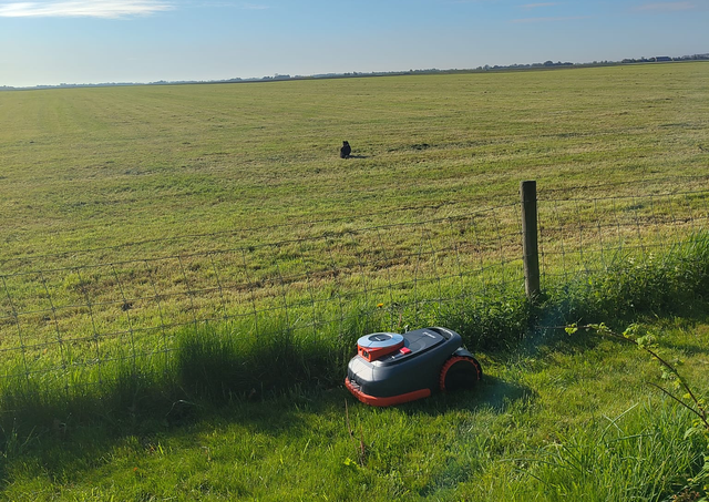 Het veld achter het hekje hoort niet bij de tuin. Daar heeft-ie ook de accu niet voor.
