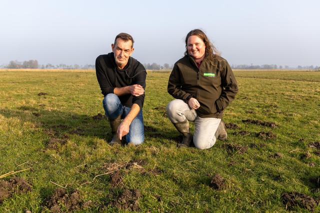 Eddie van Marum vindt eerste kievitsei van Groningen