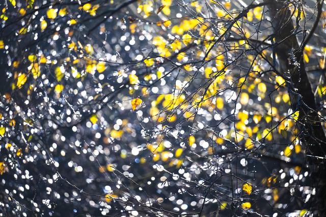 De ochtendzon maakt de natuur nog mooier.