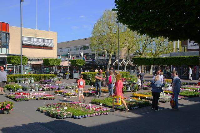 Bloemen- en plantenmarkt in Veendam