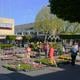 Bloemen- en plantenmarkt in Veendam