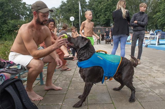 Jeffrey Wiekenkamp reed met zijn labrador Bopper van Amersfoort naar Valthermond. 