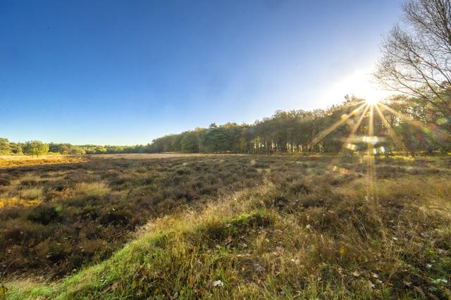 Brink kwam als kind vaak op de heide in het Zwiggelterveld.