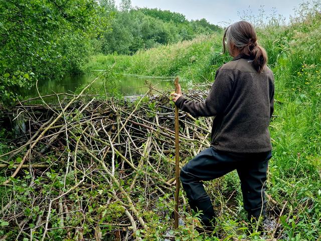 beverconsulent Cindy de Jonge.