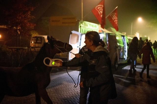 Het laatste paard wordt gescand bij de ingang van de Zuidlaardermarkt.