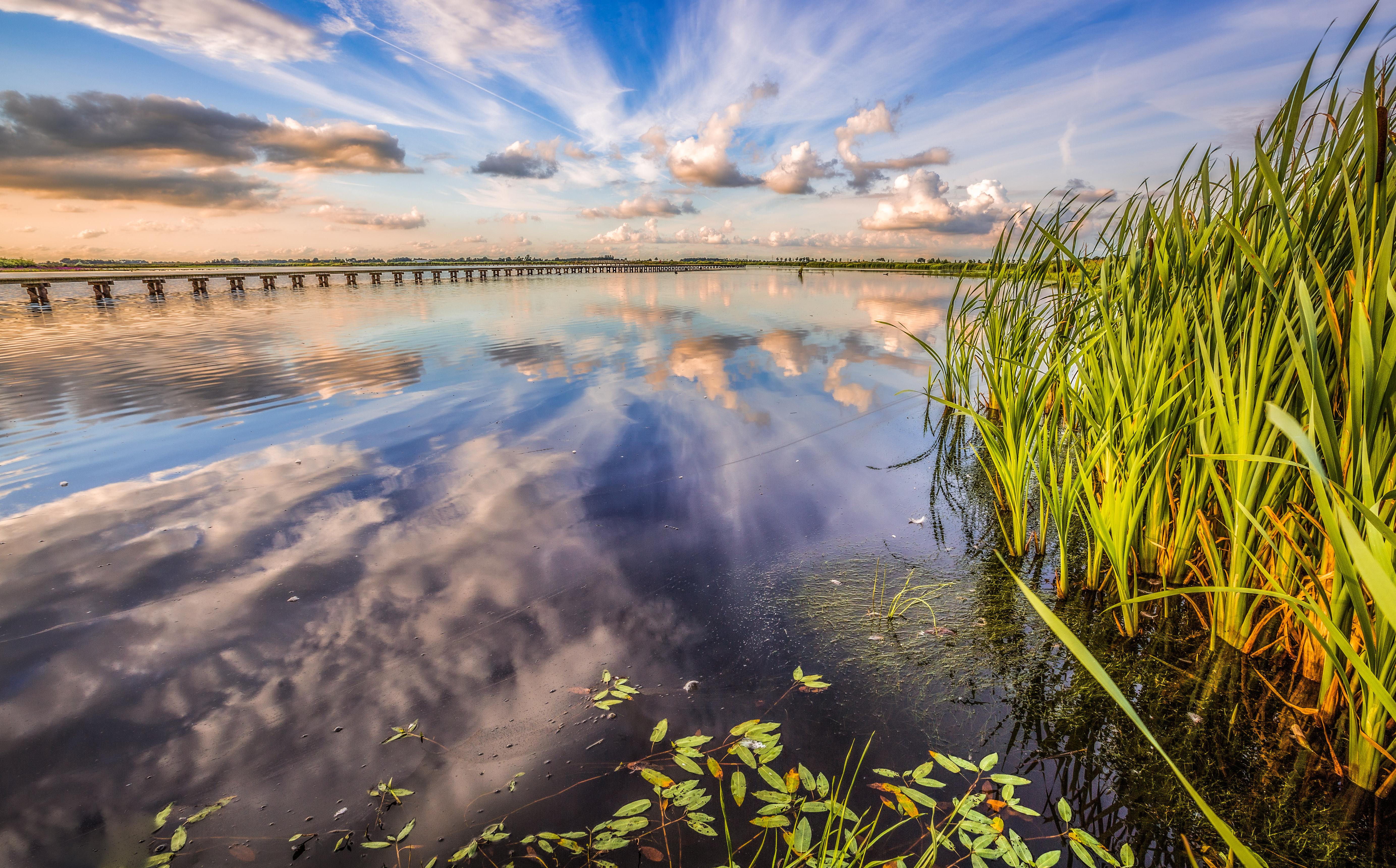 Tot 2002 was dit nog gewoon. Ooit landbouwgrond, nu een open water met riet- en zeggemoeras, moerasbos, grasland en Dannemeer. Daardoor is 't Roegwold een paradijs voor vogels geworden. Boeren balen er nu van dat het gebied op de stikstofkaart staat, waardoor ze in hun voortbestaan worden bedreigd. 
