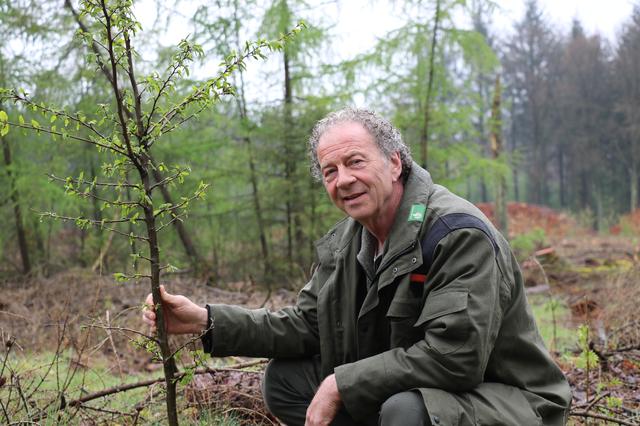 Evert Thomas (65) bij een aangeplante haagbeuk in natuurgebied Hart van Drenthe. 