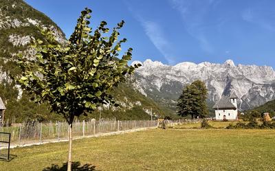 Het dorpje Theth heeft een kerk, meerdere restaurants en vooral guesthouses. 