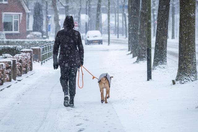 Een vrouw laat haar hond uit in Blijham. De hond is ingepakt tegen de kou. 
