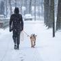 Een vrouw laat haar hond uit in Blijham. De hond is ingepakt tegen de kou. 