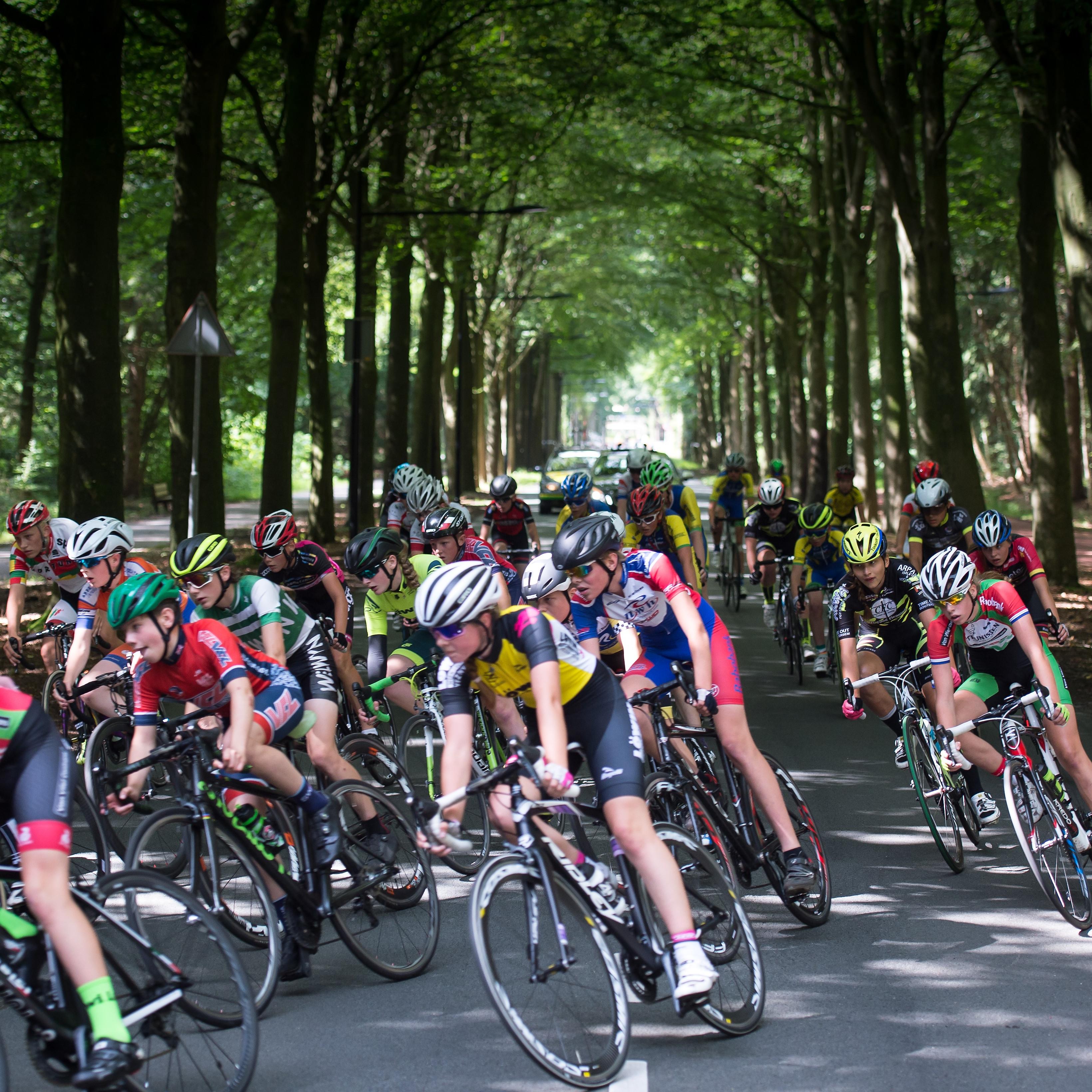 Een van de etappes van de Jeugdtour leidt de renners door het Asserbos. 