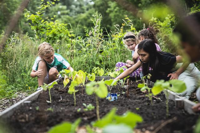Vorig jaar deden kinderen van De Swoaistee in de Groninger wijk Lewenborg mee aan het project.

