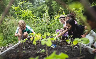Vorig jaar deden kinderen van De Swoaistee in de Groninger wijk Lewenborg mee aan het project.

