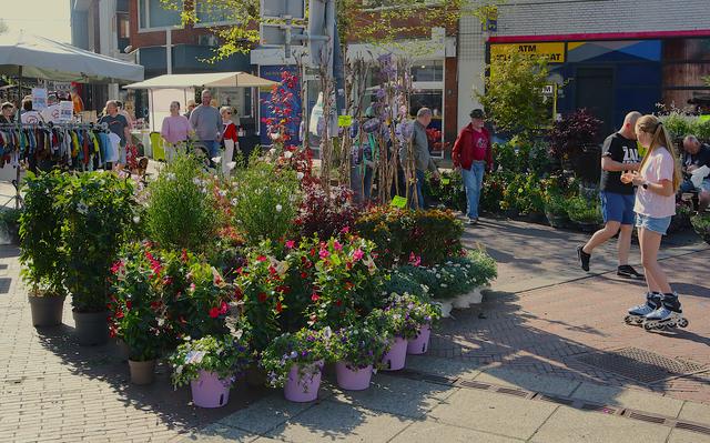 Op diverse plekken in het centrum waren bloemen en planten te koop.