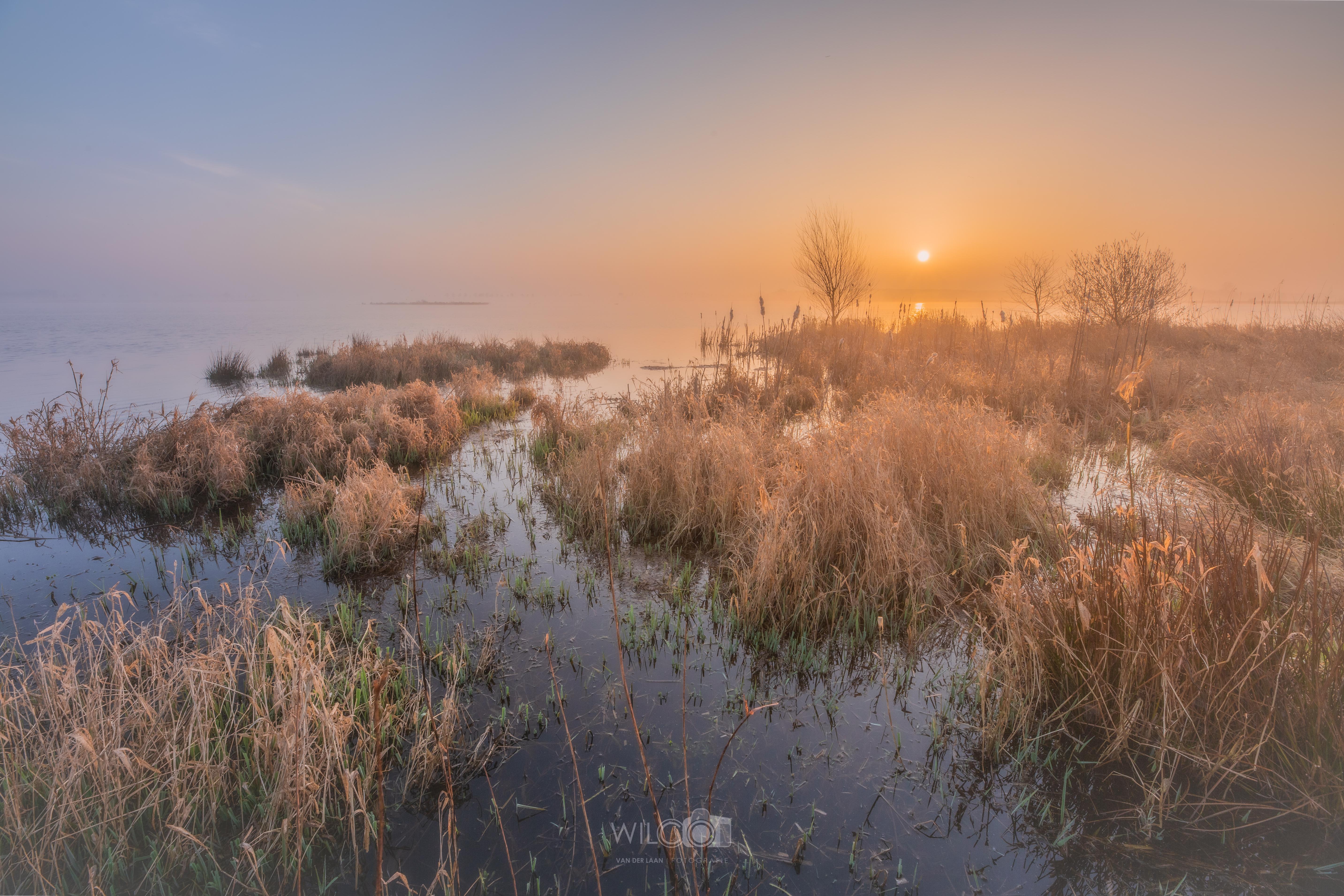 Land van water, riet en lucht.