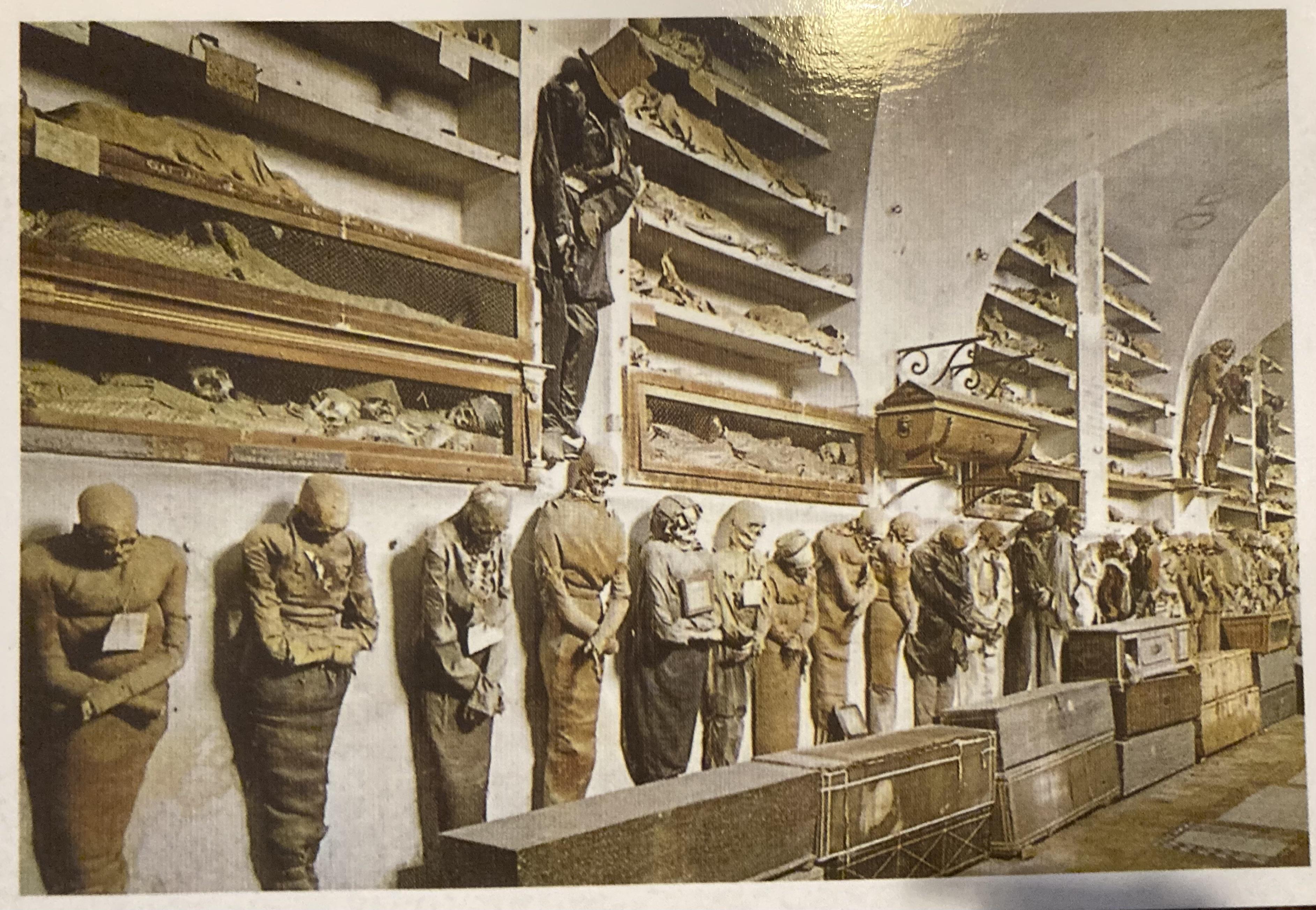 In de Catacombe dei Cappuccini in Palermo zijn 4000 doden grotendeels aan haken langs de muren opgehangen - 