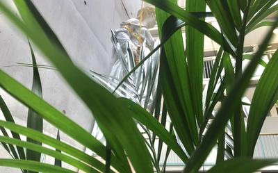 Vrouwe Justitia in de rechtbank van Groningen 