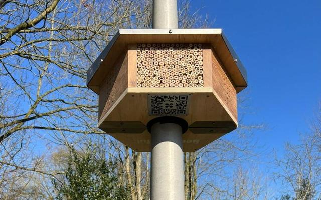 Een bijenhotel aan een lantaarnpaal. 