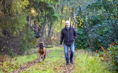 Boxer Bas is onvermoeibaar tijdens de wandeling met zijn baas Henk Brink.